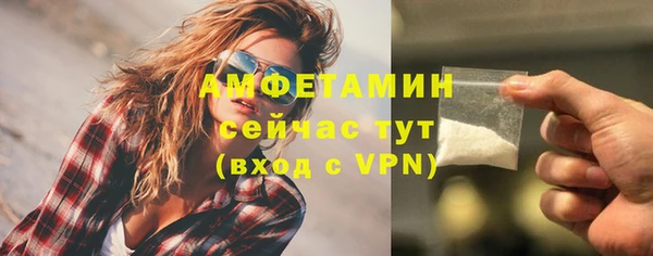 спиды Богородск