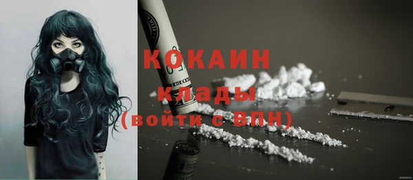 дурь Бородино