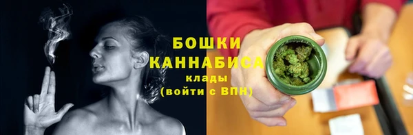 спиды Богородск