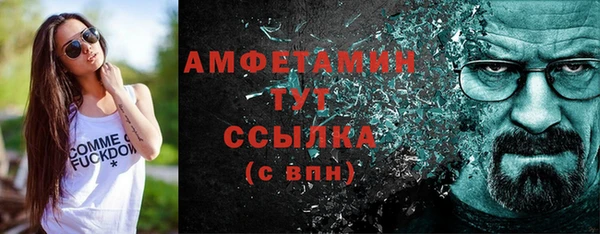 дурь Бородино