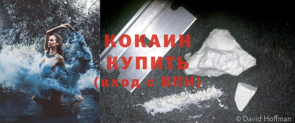 спиды Богородск