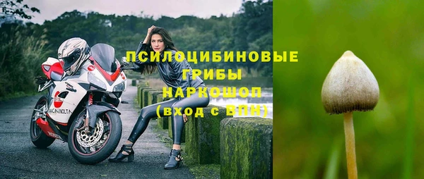 спиды Богородск