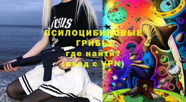 дурь Бородино