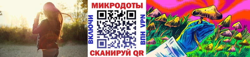 Псилоцибиновые грибы Psilocybine cubensis  Пересвет 