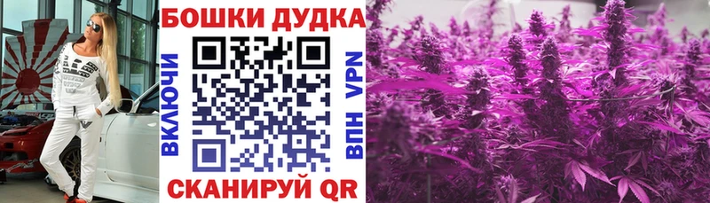 Бошки Шишки SATIVA & INDICA  сколько стоит  Пересвет 